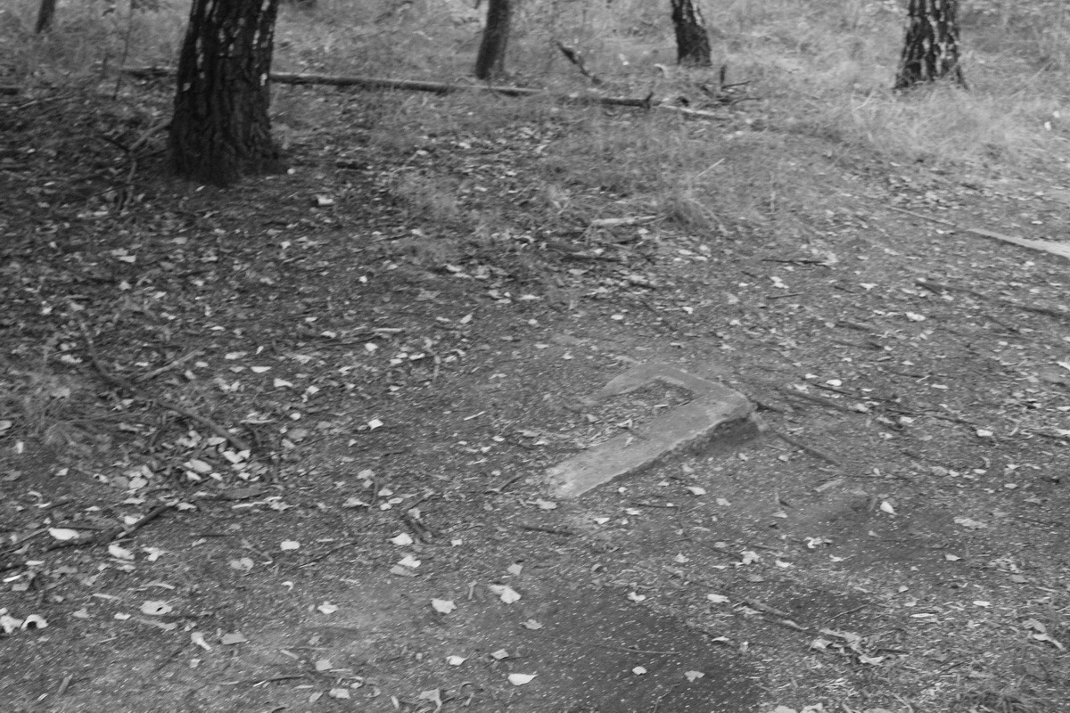 Jewish cemetery in Sosnowiec