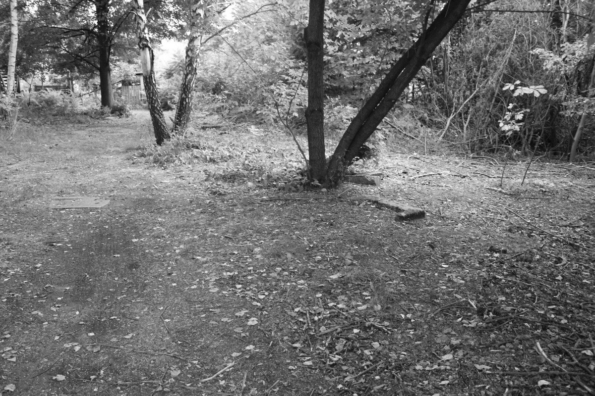 Jewish cemetery in Sosnowiec