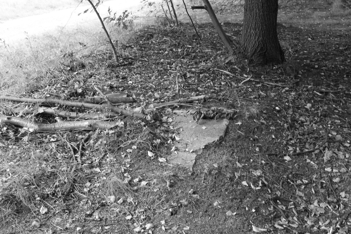 Jewish cemetery in Sosnowiec
