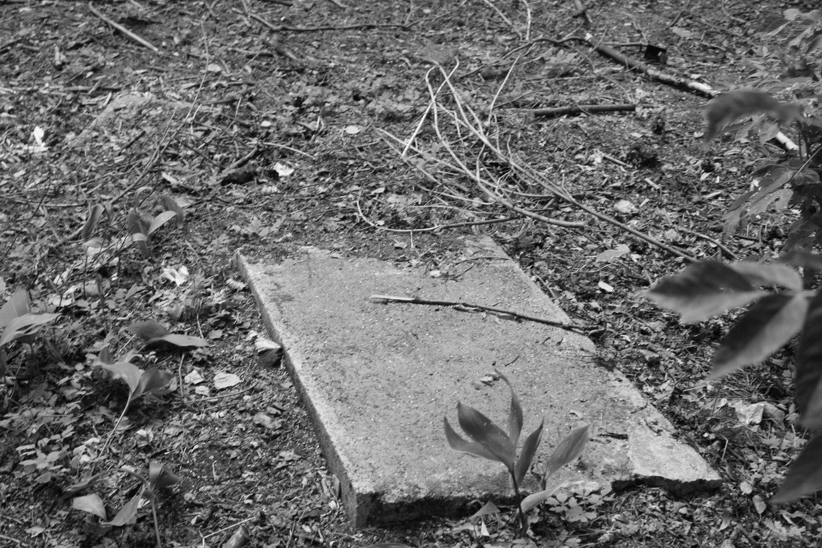 Jewish cemetery in Sosnowiec