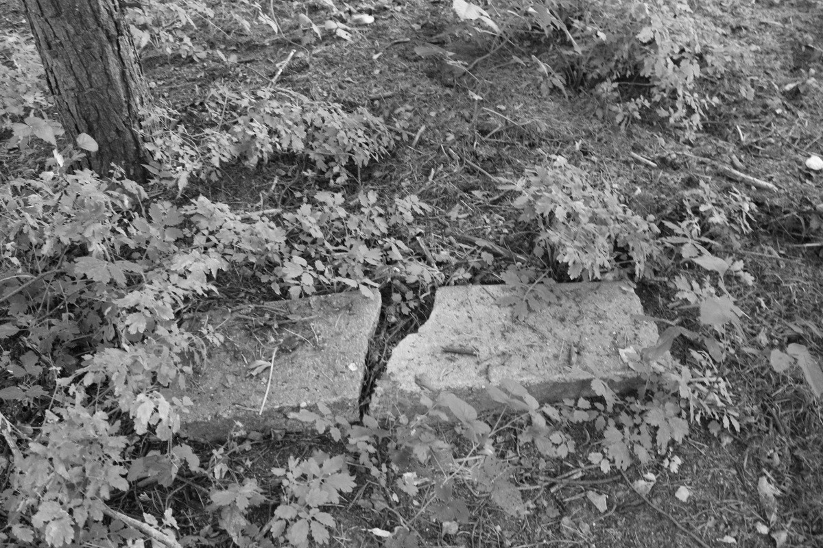 Jewish cemetery in Sosnowiec